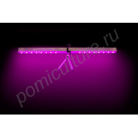 Подсветка для рассады на базе полноспектровых фитосветодиодов "Арнеб"